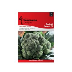 13 Brokoli Corvet seme